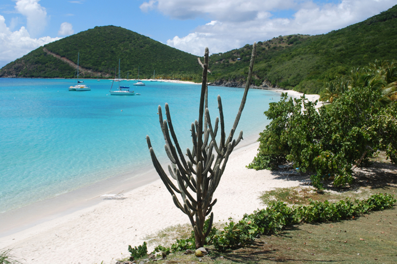 Jost Van Dyke Caribbean Vacation Homes